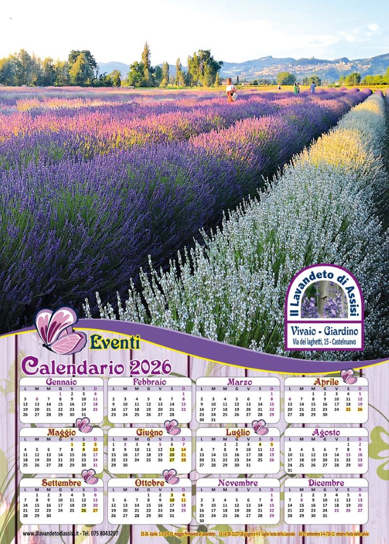 Calendario 2026 gratis, calendario 2026 gratuito, calendario 2026 omaggio, calendario 2026 con fiori, calendario 2026 con lavanda, calendario 2026 gratis. Calendario natalizio, calendario campi di lavanda, Calendario Assisi 2026, calendario 2026 da appendere, Calendario Assisi gratis, calendari natalizi, idee regalo calendario, idee regalo Natale 2026, calendario 2026 con paesaggio, calendario 2026 da stampare gratis, calendario 2026 annuale, calendario 2026 con festività,