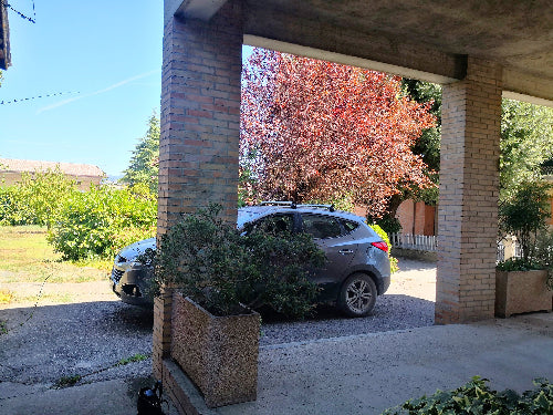Appartamento vacanze per visitare Assisi, Perugia, Montefalco e l' Umbria. Alloggio vicino all' aeroporto di Perugia
