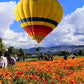 Volo vincolato mongolfiera, mongolfiere umbria. Mongolfiera Assisi, dove volare con mongolfiera, mongolfiera dove trovarla, mongolfiere, mongolfiera, volare con mongolfiera, Umbria mongolfiere, campi di papaveri, campo di papaveri, eventi Assisi, Eventi in Umbria, Umbria Tourism, Visit Assisi, cosa fare Assisi Aprile, cosa fare Assisi Maggio, cosa fare a Perugia aprile