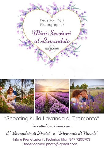Servizi fotografici sulla lavanda, fotografie nei campi di lavanda, shooting donne incinta, campi di lavanda per fotografie