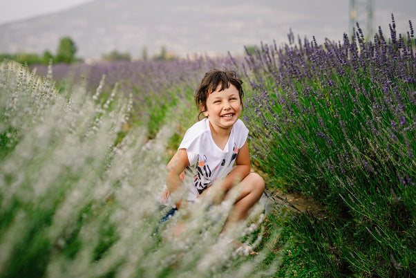 Campi di lavanda in Italia, Festa della lavanda 2025, Dove vedere i campi di lavanda, dove vedere la lavanda fiorita, servizi fotografici sulla lavanda, strada della lavanda, itinerario della lavanda, itinerario turistico in Umbria, Cosa vedere in Umbria, visitare Assisi, visit Assisi, Assisi news, Perugia cosa vedere