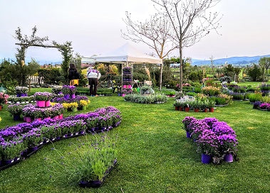mostra mercato di piante e fiori in Umbria Perugia, mostre mercato piante primavera, mostre di florovivaismo Aprile e maggio, parchi da visitare in aprile e maggio. Itinerario turistico Umbria, attrazioni Umbria, attrazioni Assisi