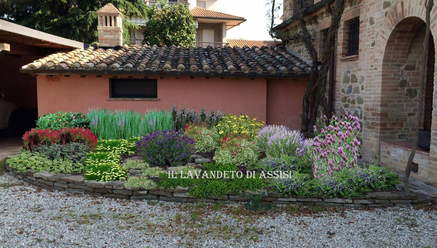 Progetti giardini online - Progetti giardino - Come realizzare giardino fai da te