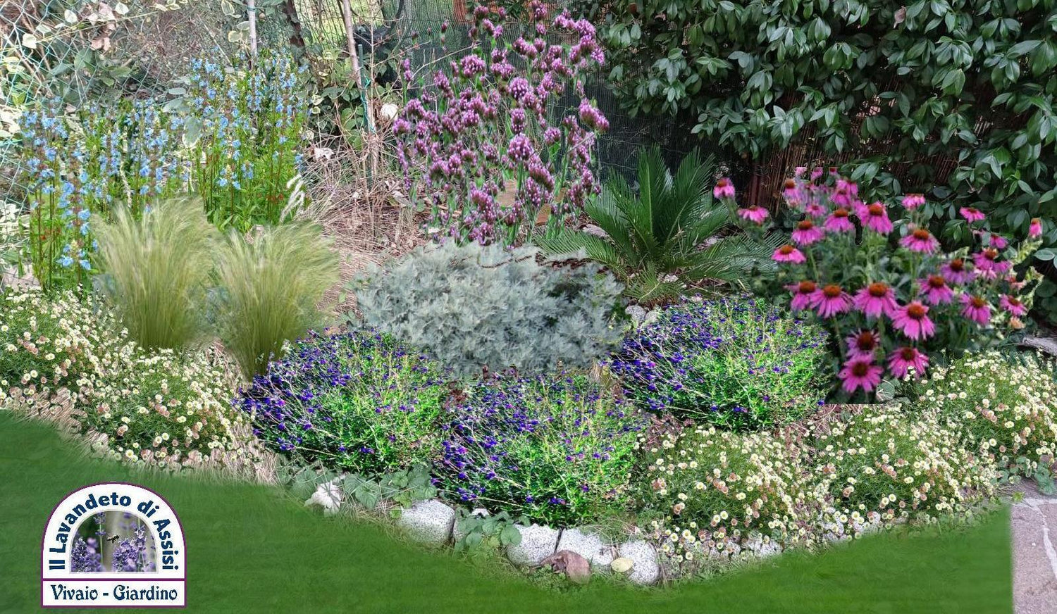 progetti giardini gratuiti, rendering aiuole, progettazione giardino online, esempi di giardino, esempi di aiuole, idee per giardino, come realizzare aiuola, piante per aiuole robuste, aiuole con lunghe fioriture, Progettazione piccoli giardini, idee per aiuole giardino, aiuole Fai da te, idee per giardino fai da te.