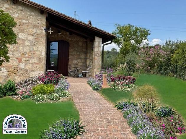 progetti giardini online, progetti aiuole gratuiti, aiuole per ingresso casa, aiuole per vialetto, piante per vialetto,  esempi di giardino, come realizzare un giardino, progetti piccoli giardini