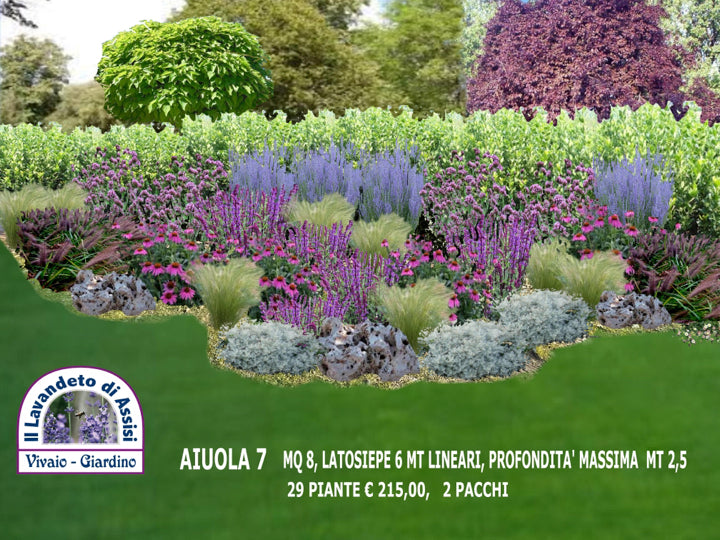 Giardino fai da te, giardino fai da te economico, aiuola fai da te con piante perenni.  Realizza un'aiuola con lavanda, erbacee perenni, graminacee e arbusti di salvia da fiore è un bellissimo giardino pensile caratterizzato da una varietà di piante e elementi naturali. La lavanda offre un profumo stupendo, Piante perenni a bassa manutenzione, aiuola con fiori viola o blu,  Aiuola con piante a bassa manutenzione
