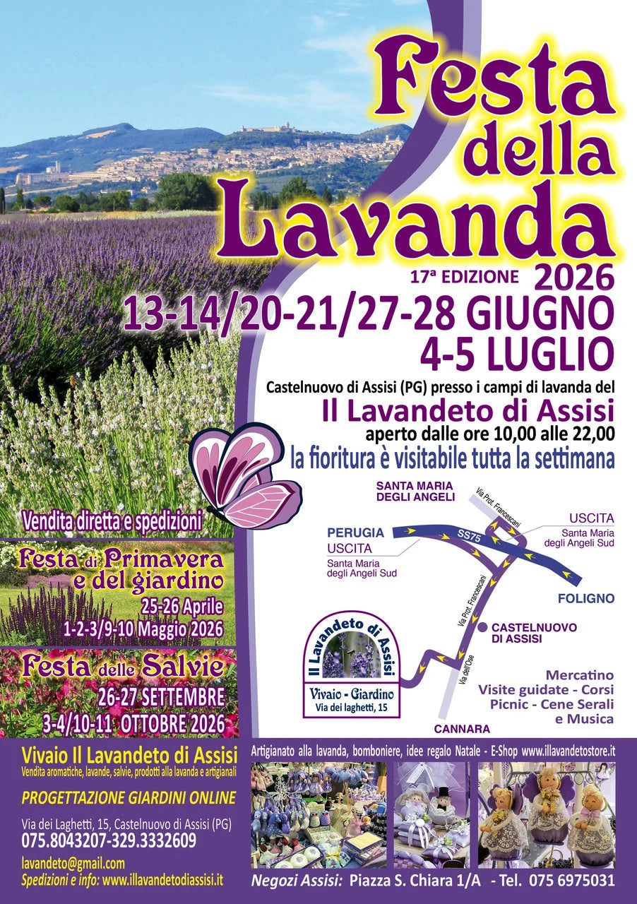 Picnic sulla lavanda, organizzare feste di compleanno, dove organizzare cerimonie Umbria, area eventi e feste Perugia, compleanno in giardino Perugia, compleanno in un campo di lavanda,