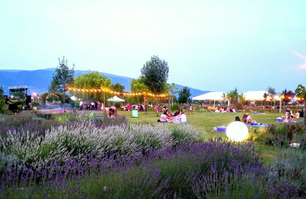 Picnic in giardino, feste di compleanno in giardino, battesimo in giardino, picnic tra la lavanda, cena con musica dal vivo, area  picnic Assisi, cosa fare Assisi, eventi Assisi, festa della lavanda Assisi, eventi perugia, eventi in Umbria