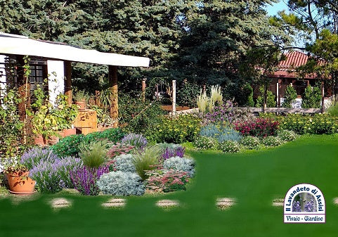 Progetti giardini online, progettazione giardini, progetti terrazzi,  progetti piccoli giardini privati , idee per aiuole al sole, idee per terrazzi con piante perenni a bassa manutenzione.  Immagini giardini, aiuole davanti casa, progetti giardini gratuiti, idee per aiuole davanti casa, progetti giardini personalizzati, Esempio progetto giardino, piccolo giardino bellissimo