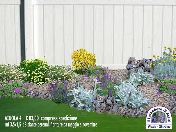 aiuola con sassi e piante, aiuola con sassi dai da te, giardino con sassi e piante, giardino roccioso. aiuola giardino roccioso, aiuola con piante perenni, progetti giardino gratuiti, progetti gratuiti giardino, aiuola con santolina, aiuola con elicriso,  aiuola con verbena pulchella aiuole con sassi e piante perenni
