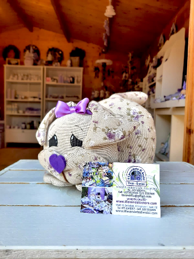 cane fermaporta