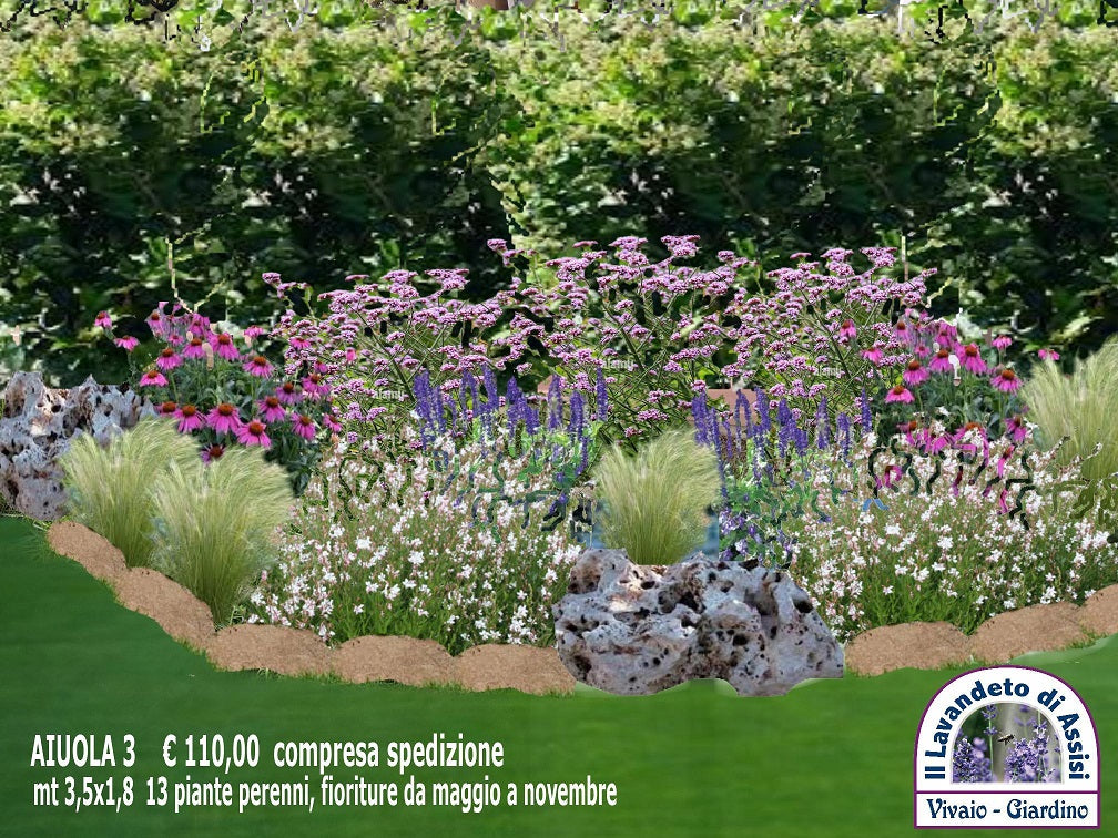 Vendita piante online, aiuole fai da te giardino, aiuole economiche fai da te, aiuole immagini da copiare.  kit di 13 piante erbacee perenni per realizzare aiuola di circa 6 mq. Per aiuola fai da te. Le piante inserite nel rendering sono erbacee perenni vivaci molto resistenti e rustiche, sono piante a bassa manutenzione per aiuole al sole o a mezz' ombra. Sopportano bene il gelo e il caldo intenso. Al momento della spedizione le piante e il rendering saranno numerati, per facilitare l' impianto. 