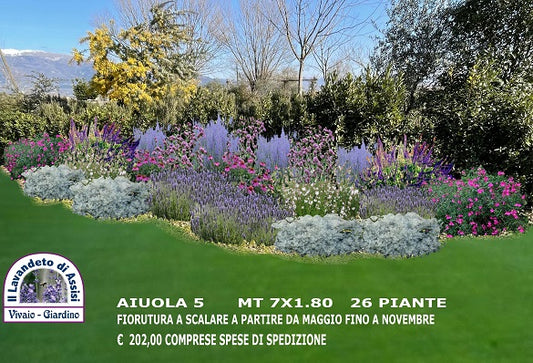 idee per aiuole, piante per aiuole al sole, progetti giardini gratuiti, progetti piccoli giardini da copiare, progetti piccoli giardini, progettazione giardini online, come realizzare un' aiuola, piante per giardino secco,  idee per aiuole da copiare, realizzare un aiuola facile, piante per realizzare giardino al sole